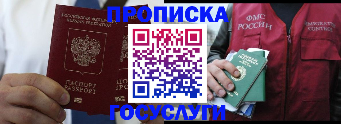 прописка законно в Борзе